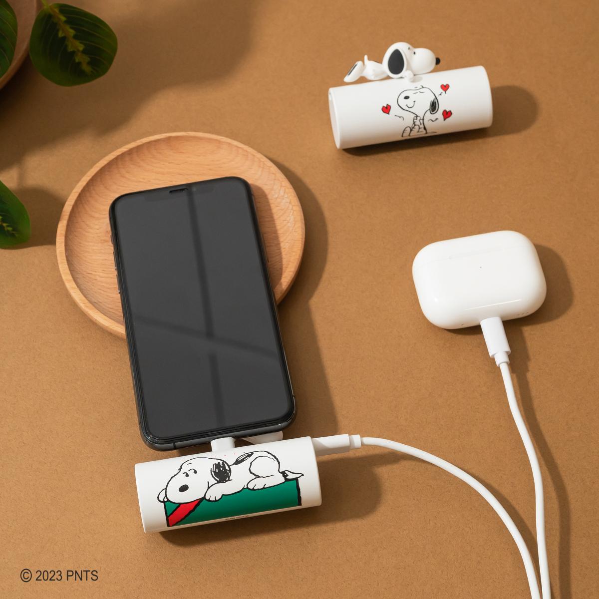 迪士尼角色隨身充電小幫手 – 直插式20W快充行動電源系列