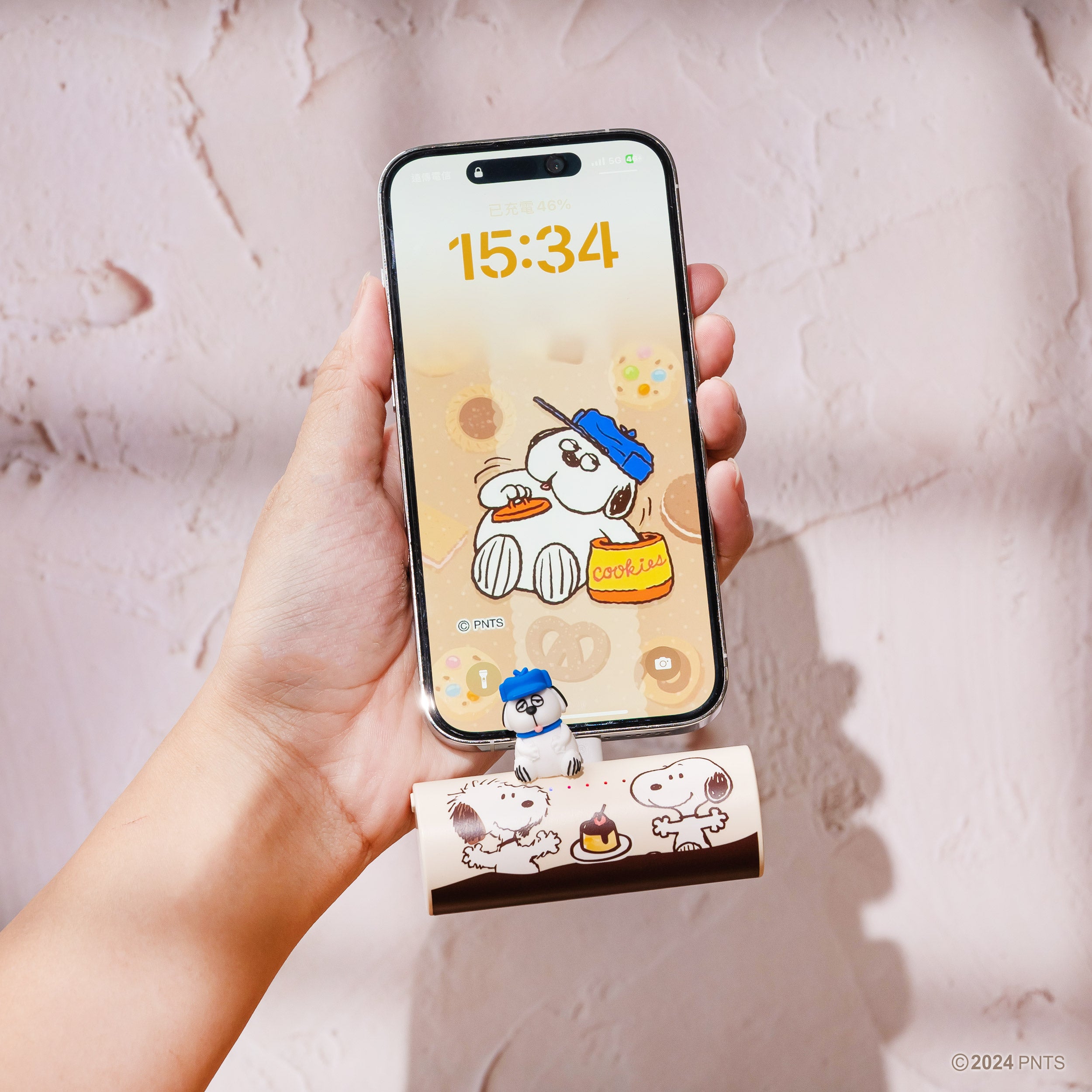 迪士尼角色隨身充電小幫手 – 直插式20W快充行動電源系列